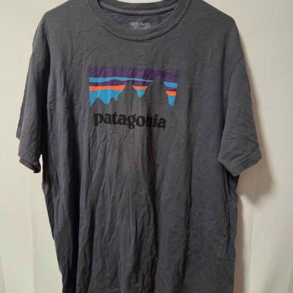 Patagonia Graphic T-Shirt Size XL Dark Grey